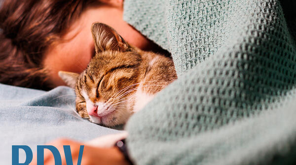 Le sommeil - Début de cycle