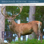 Randonnée pédestre : Chambord