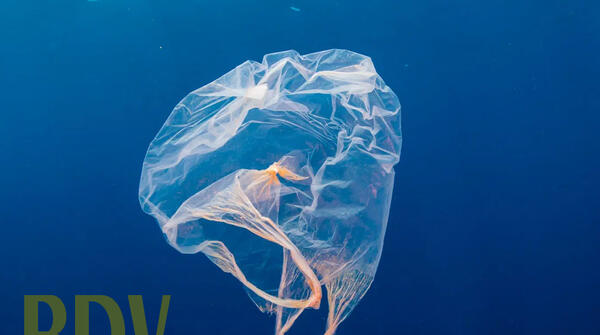 SPECTACLE : 20 000 lieus sous les mers