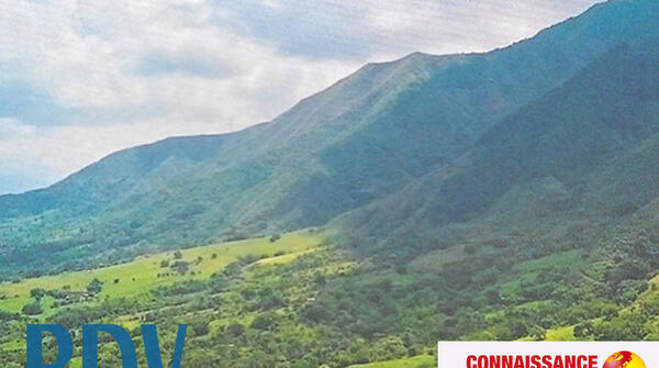 Les voyages de La Chrysalide - La Colombie