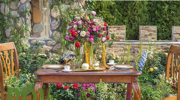 Grand repas du Printemps | Lumière