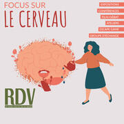 Escape Game « Cerveau et neuromythes » | Focus sur le cerveau 