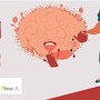 Focus sur le cerveau 
