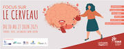 Focus sur le cerveau 