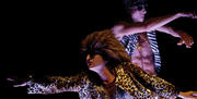 Halle aux grains : demandez le programme !