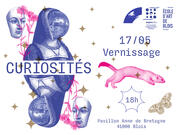 "CURIOSITÉS" exposition des pratiques grand public